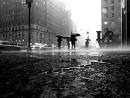 New York Rain.jpg